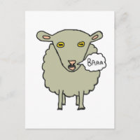 Baa Sheep