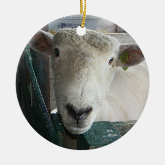 BAAAAAAAAAAAA SHEEP ORNAMENT (Front)