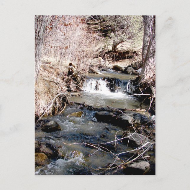 Babbling Brook Postcard (Front)