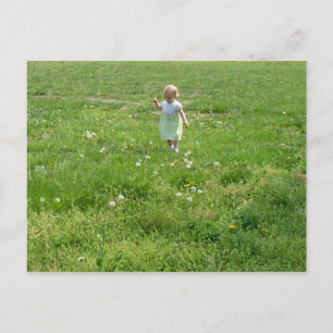 Babe in Field Postcards
