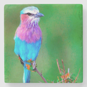 _babero Bird blue Stone Coaster