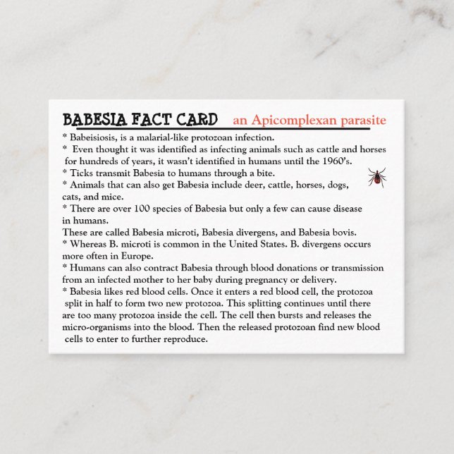 Babesia Fact Card (Front)