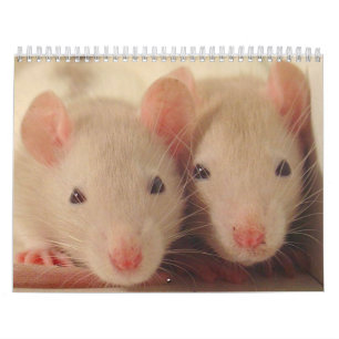 babies calendar