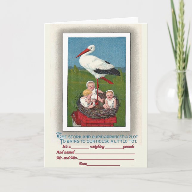 Babies in Stork Nest Vintage Birth Announcement (Front)