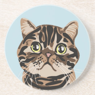 Babka the Cat Coaster