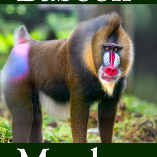 Baboon Monkey Jigsaw Puzzle