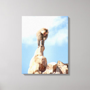 Baboon monkey on top of a mountain canvas print