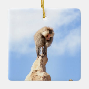 Baboon monkey on top of a mountain ceramic ornament