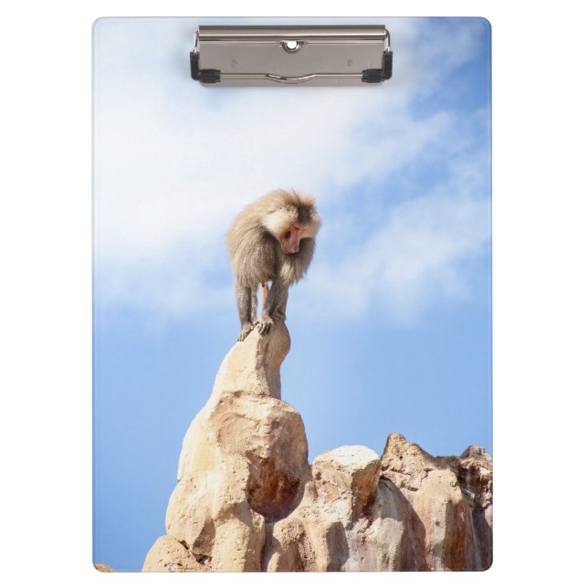 Baboon monkey on top of a mountain clipboard (Front)