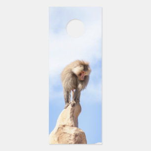 Baboon monkey on top of a mountain door hanger
