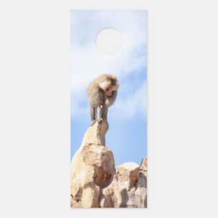 Baboon monkey on top of a mountain door hanger