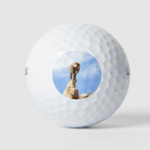 Baboon monkey on top of a mountain golf balls
