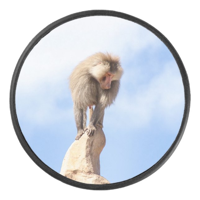 Baboon monkey on top of a mountain hockey puck (Front)