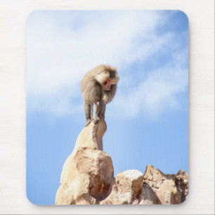 Baboon monkey on top of a mountain mouse pad