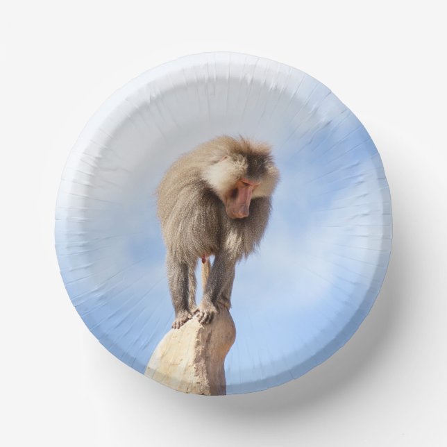 Baboon monkey on top of a mountain paper plate (Front)