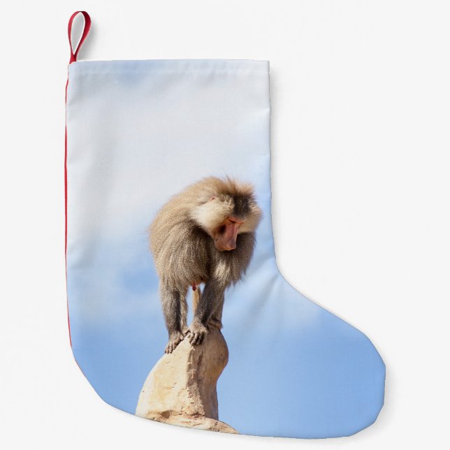 Baboon monkey on top of a mountain small christmas stocking (Front)