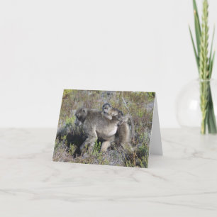 Baboon Notecard