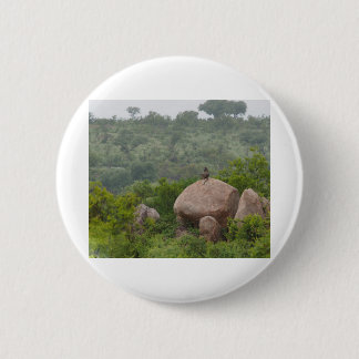 Baboon on a Rock 6 Cm Round Badge