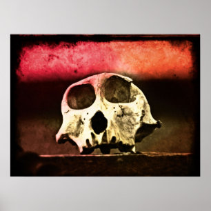 Baboon Skull Sunset Art Poster