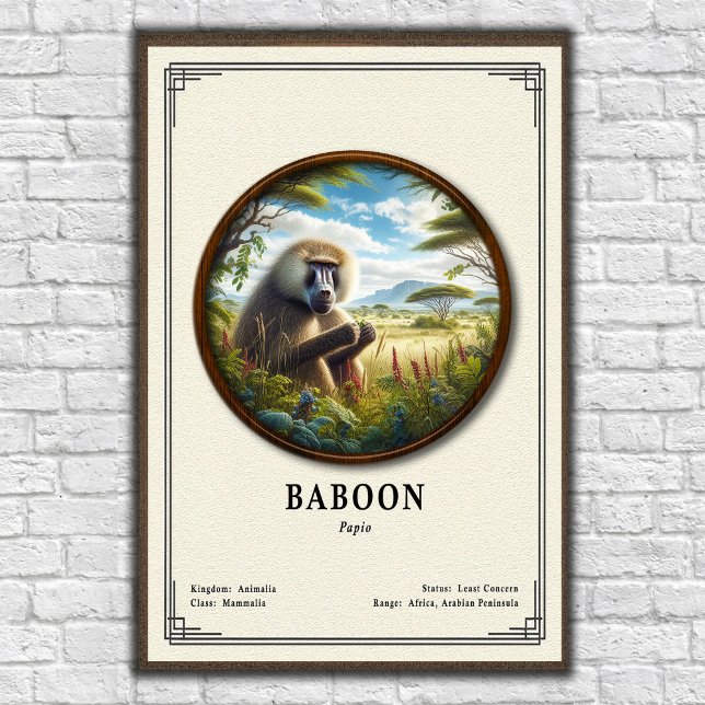 Baboon Zoology Series Poster (Creator Uploaded)
