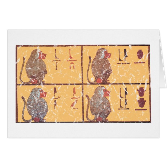 baboons (Front Horizontal)