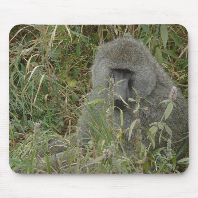 Baboons' Pad Mouse Pad (Front)
