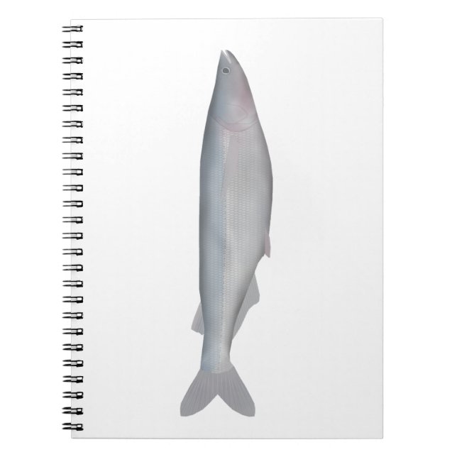 Baboso Notebook (Front)
