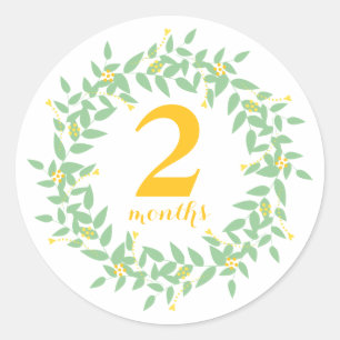 Baby 2 Months Classic Round Sticker, Glossy Sticker
