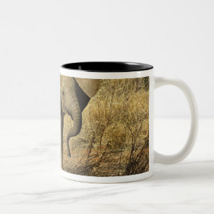 Baby African Elephant, Loxodonta Africana, Two-Tone Coffee Mug