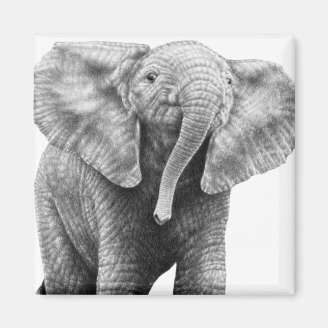 Baby African Elephant Magnet (Front)