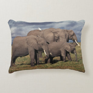 Baby African Elephant with family Decorative Cushion