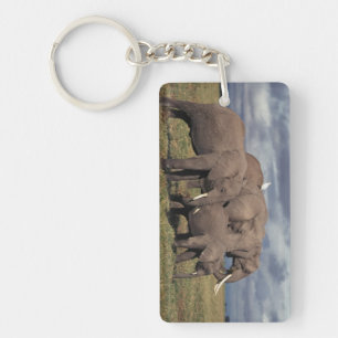 Baby African Elephant with family Key Ring