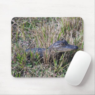 Baby Alligator Wildlife Nature Photography Mouse Pad