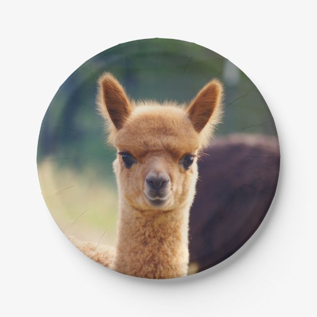 Baby Alpaca 7 Inch Paper Plate (Front)