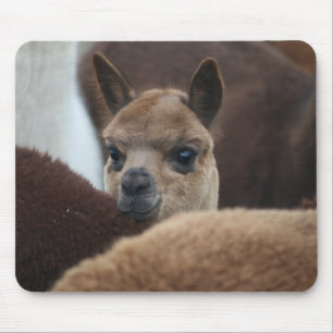 Baby Alpaca Mouse Pad