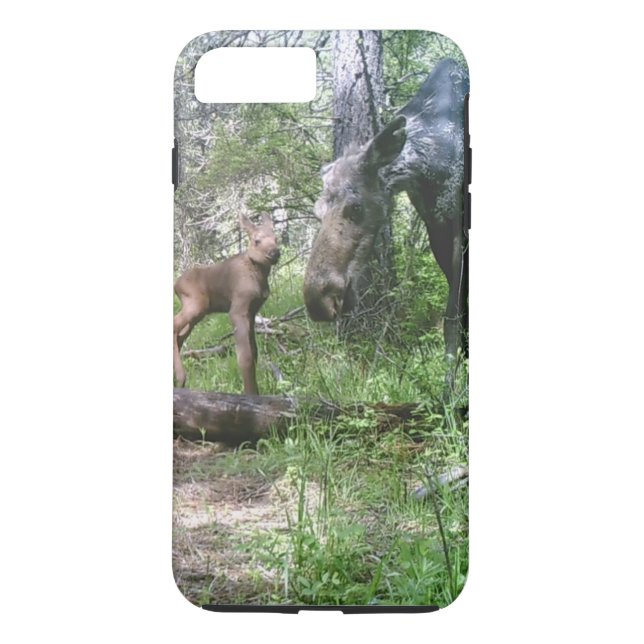 Baby and mother moose Case-Mate iPhone case (Back)