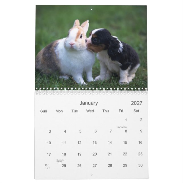 Baby Animal Calendar (Jan 2027)