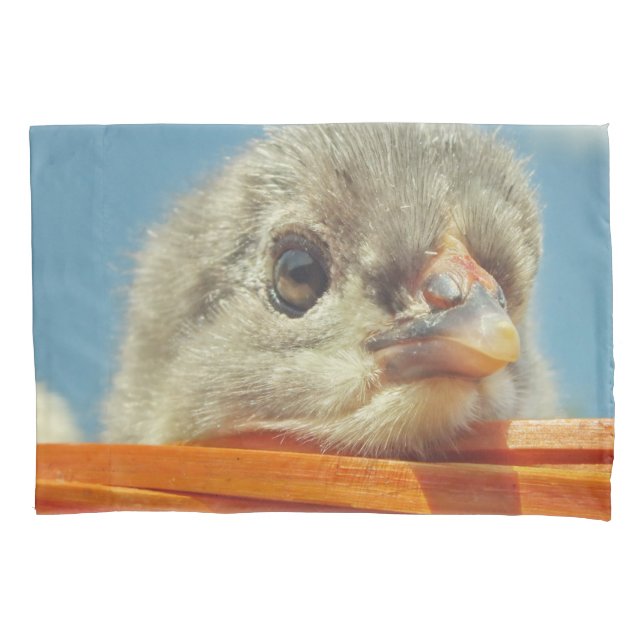 baby animal chicks pillowcase (Front)