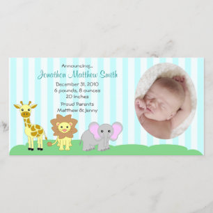 Baby Animals Birth Announcements Photo Card