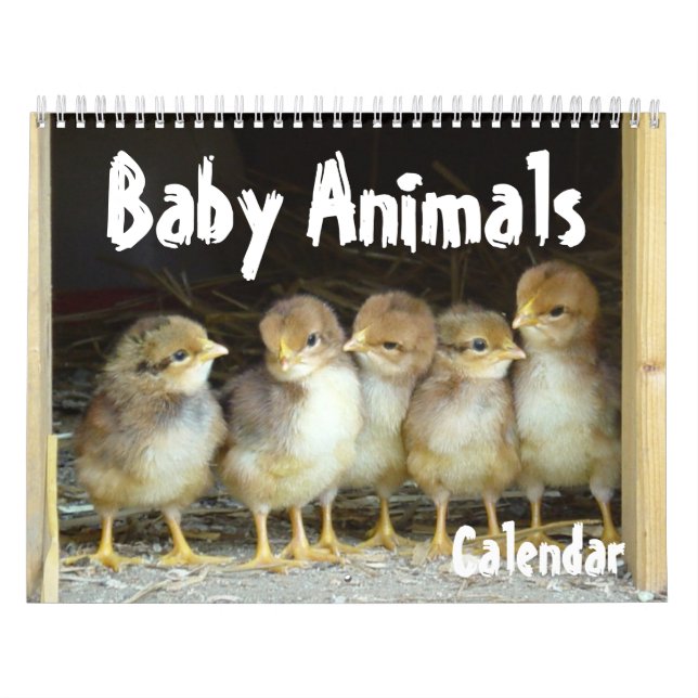 Baby Animals Calendar (Cover)