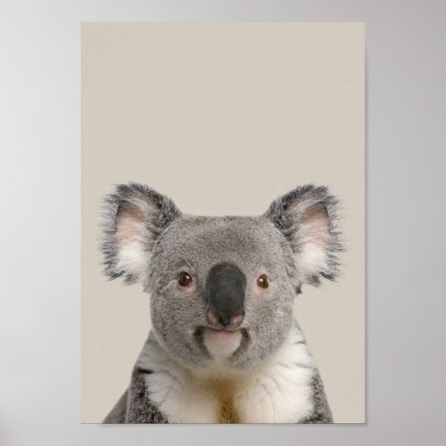 Baby Animals Nursery Poster - Koala (Front)