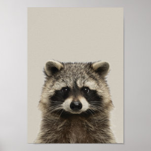 Baby Animals Nursery Poster - Racoon