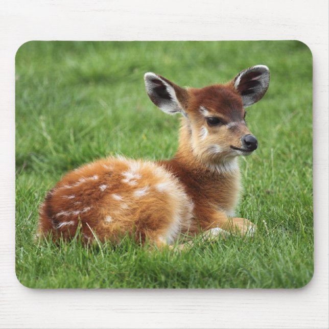 Baby Antelope Mouse Pad (Front)
