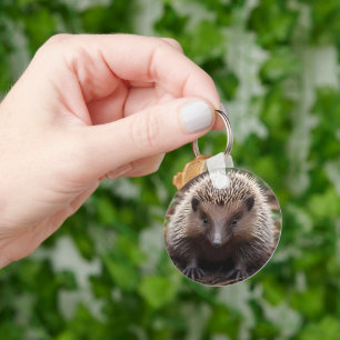 Baby Australian Echidna, Key Ring