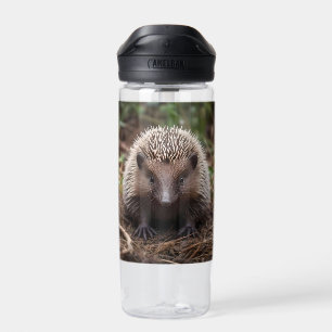 Baby Australian Echidna, Water Bottle