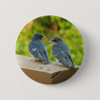 Baby Barn Swallows Nature Bird Photography 6 Cm Round Badge