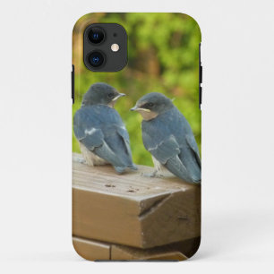 Baby Barn Swallows Nature Bird Photography Case-Mate iPhone Case