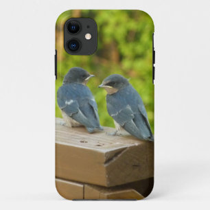 Baby Barn Swallows Nature Bird Photography Case-Mate iPhone Case