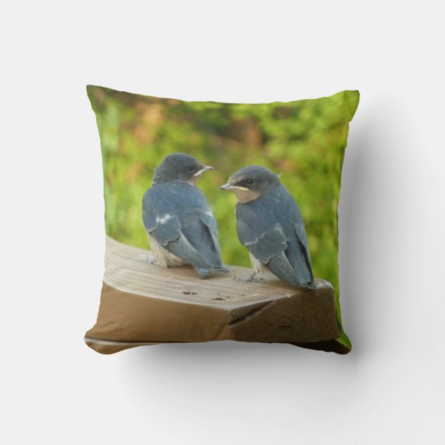 Baby Barn Swallows Nature Bird Photography Cushion (Front)