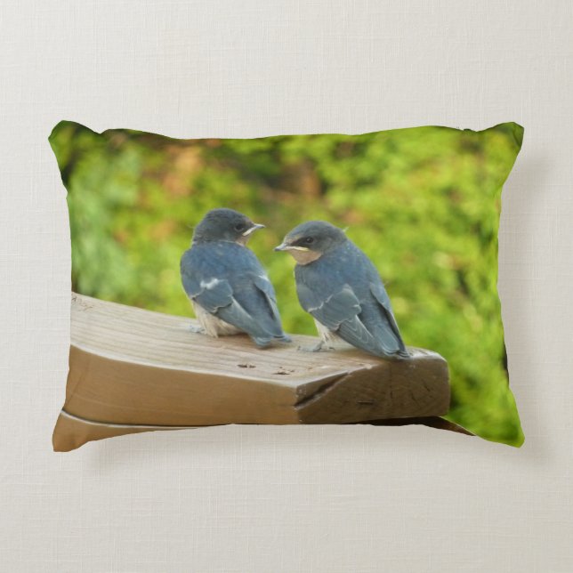 Baby Barn Swallows Nature Bird Photography Decorative Cushion (Front)